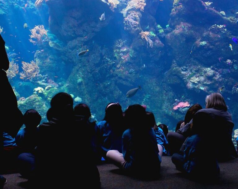 Das größte Aquarium